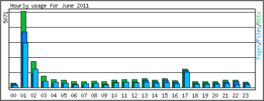 Hourly usage