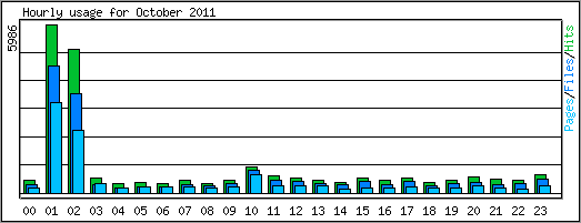 Hourly usage
