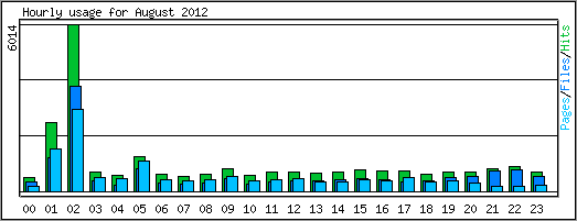 Hourly usage