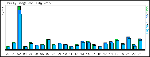 Hourly usage