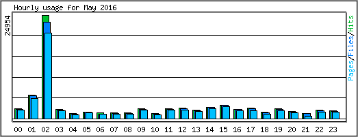 Hourly usage