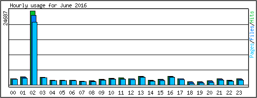 Hourly usage