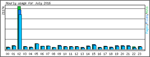 Hourly usage