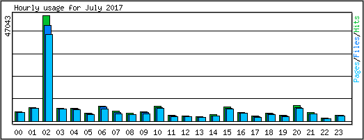 Hourly usage