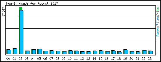 Hourly usage