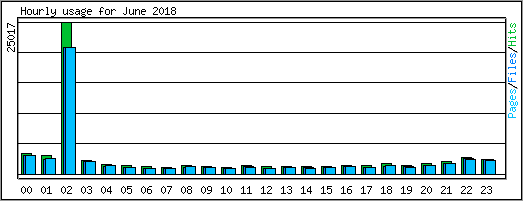 Hourly usage